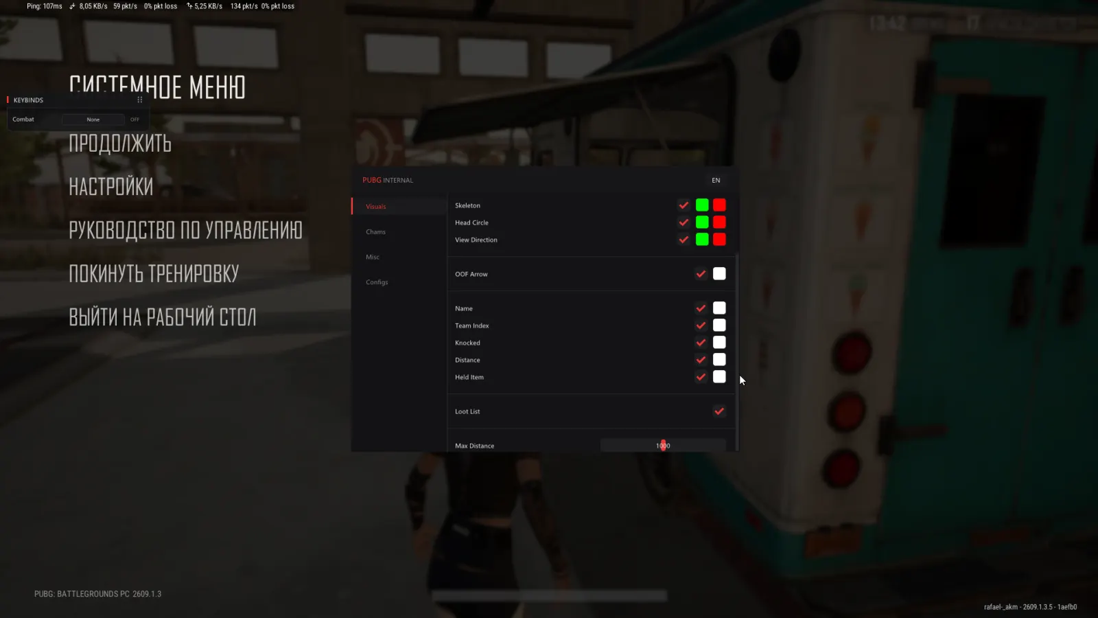 PUBG Internal — Screenshot 8